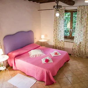 Casa Francesca #12 Sassetta