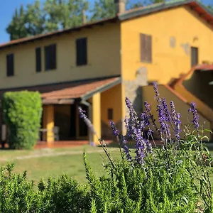 Santa Lorica Sassetta