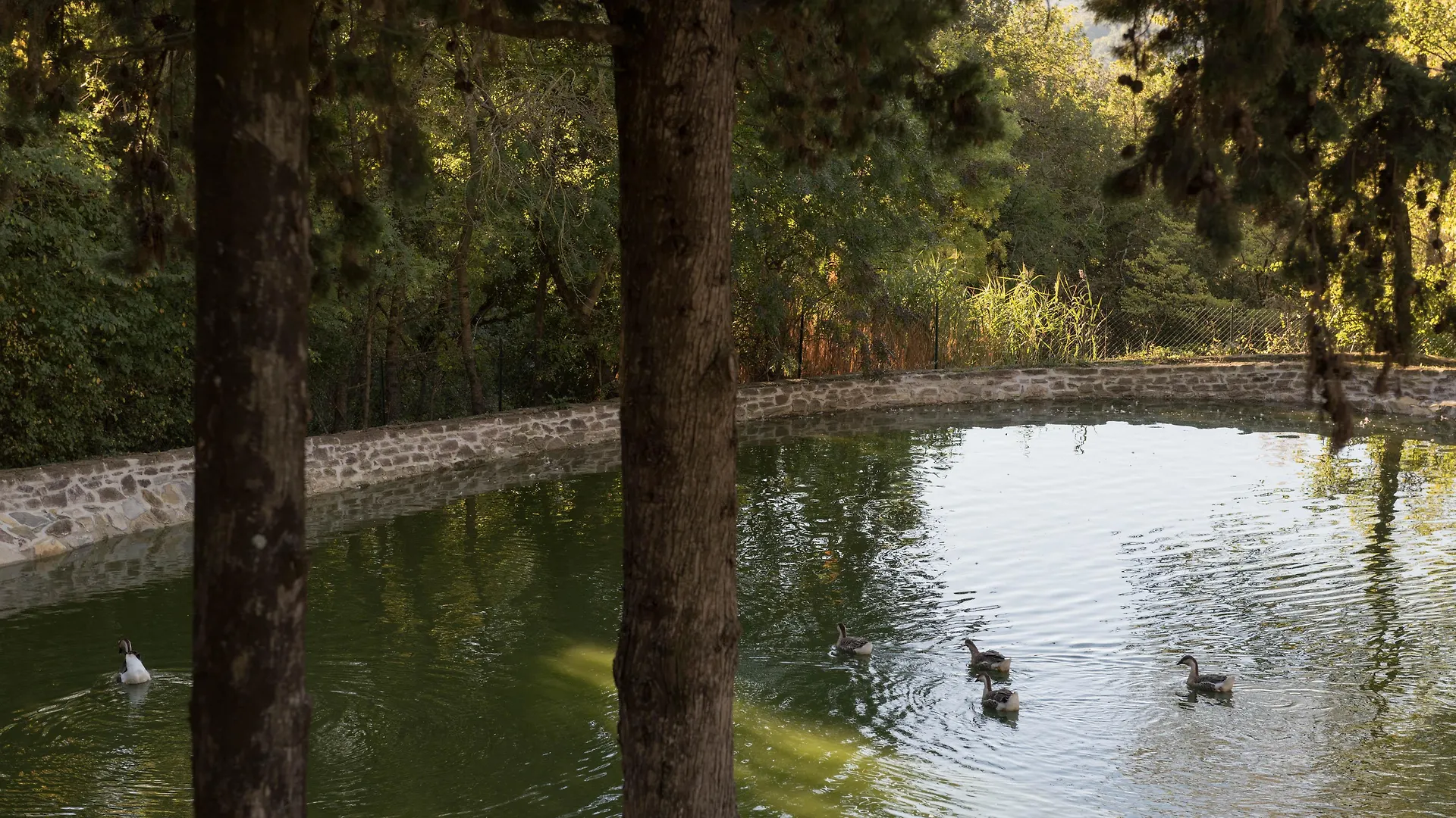 Tenuta La Bandita Hotel Sassetta