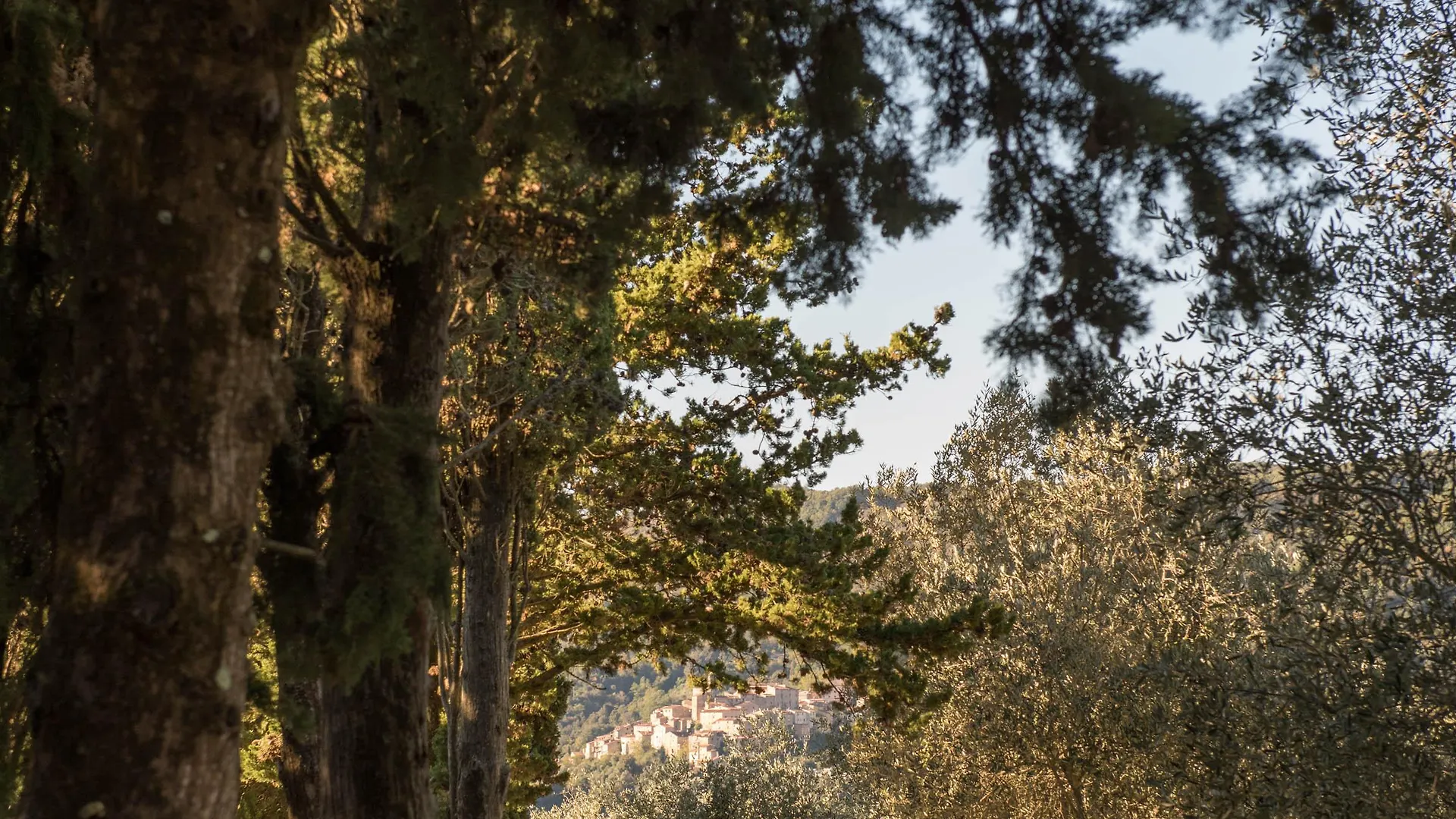 Hotel Tenuta La Bandita Sassetta